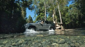 Bloomfield-4WD