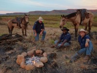 Kimberley Heritage Cattle Drive