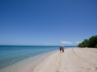 Exploring Hope Island - exclusive Bloomfield Lodge reef and island tour