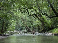 Cedar Bay National Park - Gap Creek